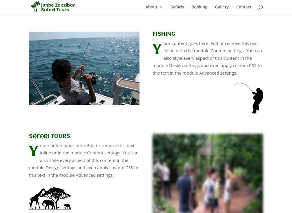 Junbe Safari Website Design - Section 3