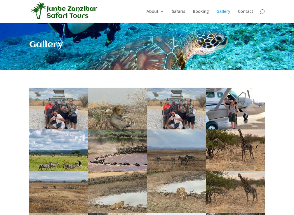 Junbe Safari Website Design - Section 5