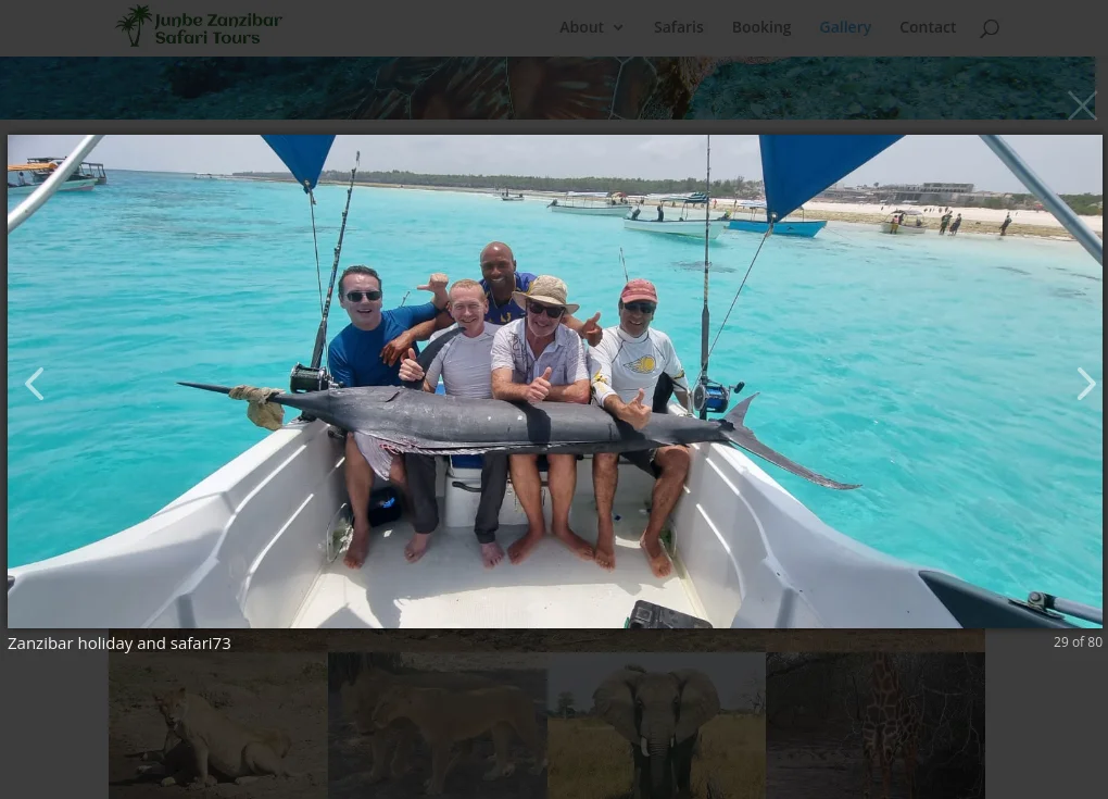 Junbe Safari Website Design - Section 7